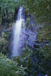 LA REUNION
Anse des cascades LA REUNION
Anse des cascades